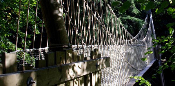 Building Bridges between Students