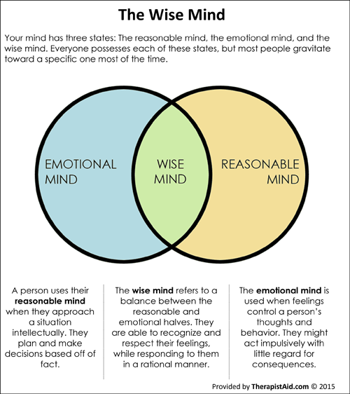 Wise Mind diagram