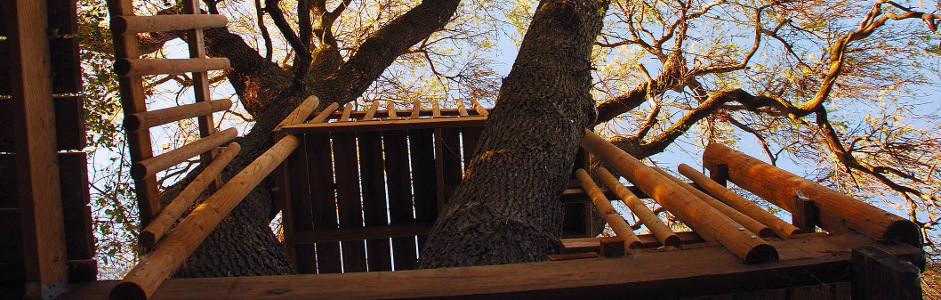 TreeHouse Counseling