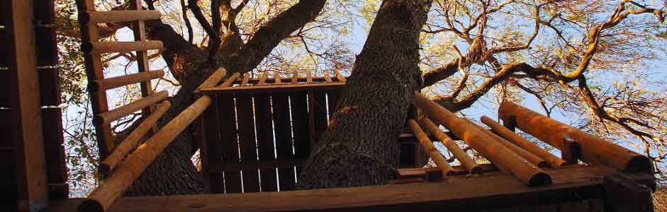 TreeHouse Counseling